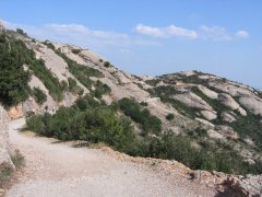 50-On the mountain at Montserat